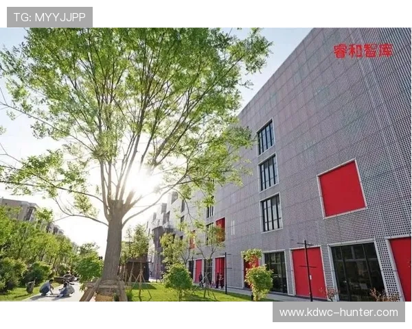 南京攀岩队成员个人能力分析与表现评估的综合研究